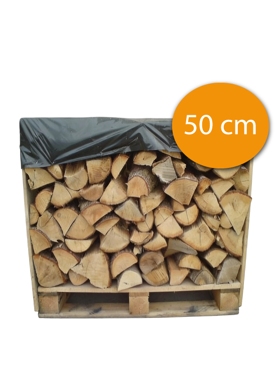 Format 50 cm